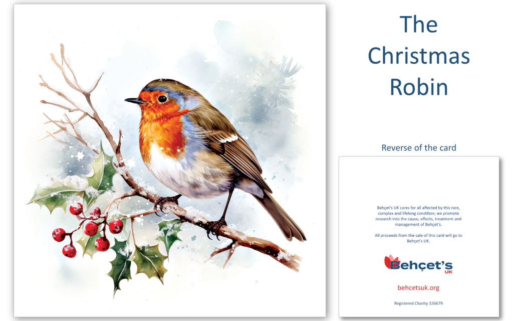 Example of the Behçet's UK Christmas Robin Christmas card design